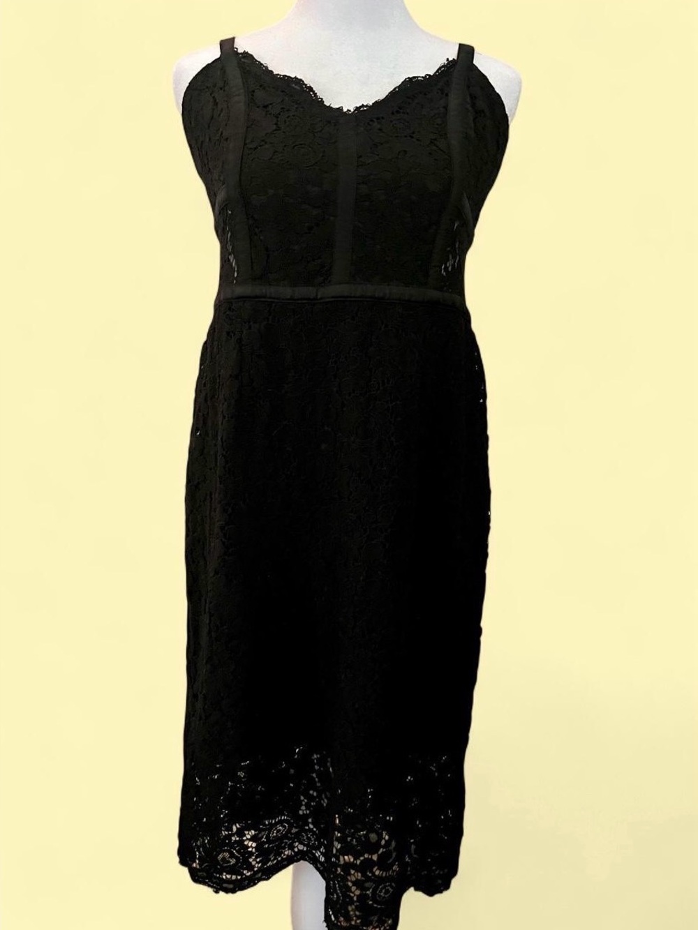 Express Lined Black Lace Dress With Floral Design 10